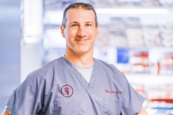 Dr. Todd Guay